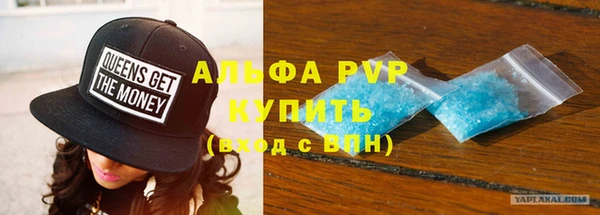 ПСИЛОЦИБИНОВЫЕ ГРИБЫ Няндома