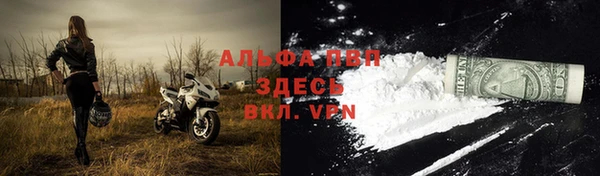 эйфоретик Новодвинск