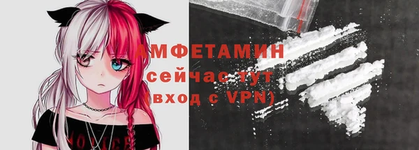 индика Нягань