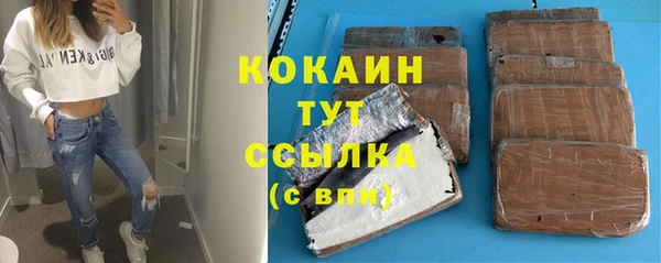 ПСИЛОЦИБИНОВЫЕ ГРИБЫ Няндома