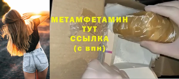 индика Нягань