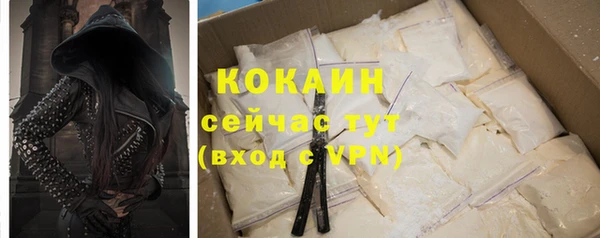 индика Нягань