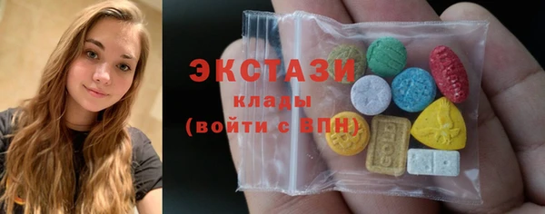 индика Нягань