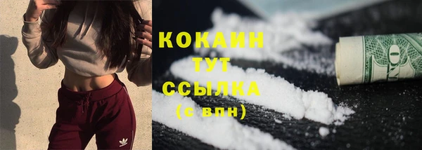 индика Нягань