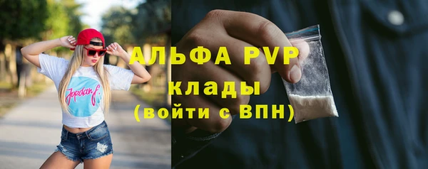 таблы Новозыбков