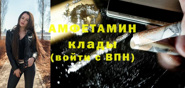 индика Нягань