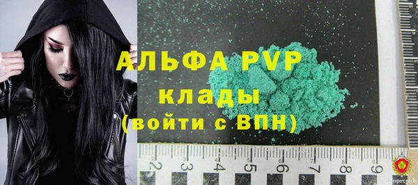 индика Нягань