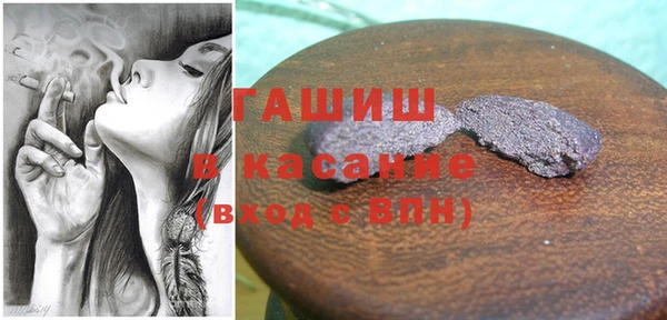 индика Нягань