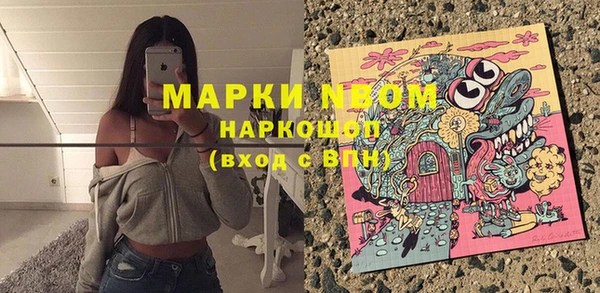 таблы Новозыбков