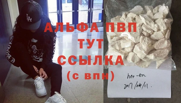 ПСИЛОЦИБИНОВЫЕ ГРИБЫ Няндома