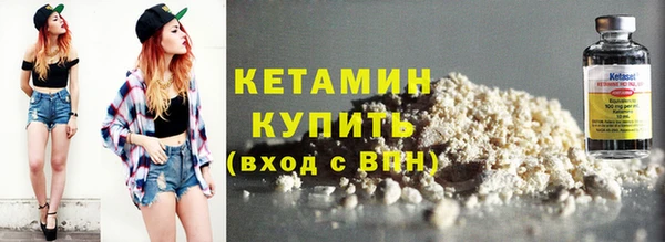 индика Нягань