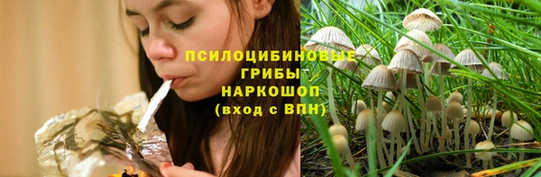 ПСИЛОЦИБИНОВЫЕ ГРИБЫ Няндома