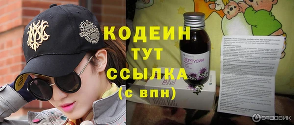 индика Нягань