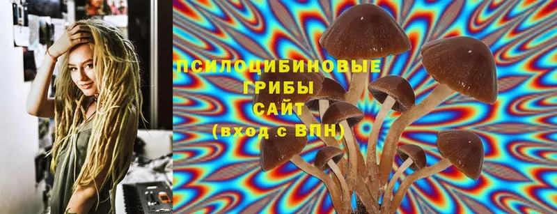 купить   Надым  Галлюциногенные грибы Magic Shrooms 