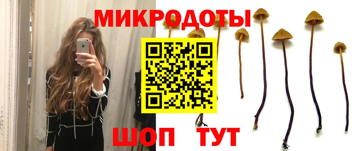 Галлюциногенные грибы GOLDEN TEACHER  Псилоцибиновые грибы GOLDEN TEACHER  Вход с VPN  Надым 
