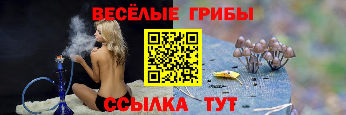 сколько стоит  Надым  Галлюциногенные грибы MAGIC MUSHROOMS 